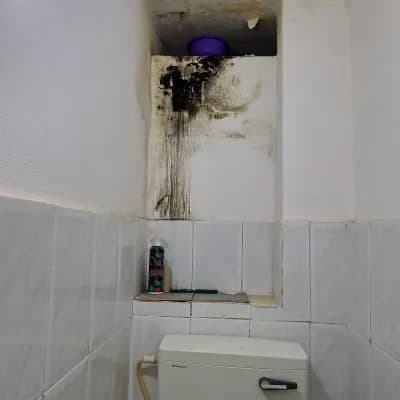 עובש שחור בגומחת שירותים